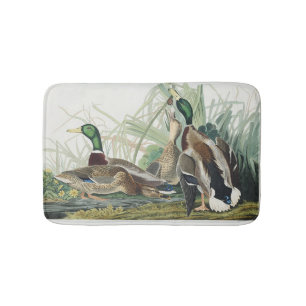 Tapete De Banheiro Arte da Vida Selvagem do Pato-real de Audubon Vint