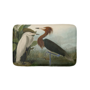 Tapete De Banheiro Arte de Pássaro: Gravura do Garça Roxa de Audubon: