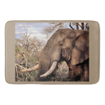 Arte dos Amantes de Elefantes