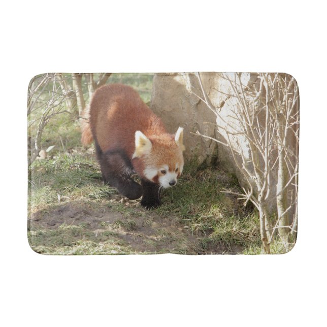 Tapete De Banheiro Bath Mat Photo red panda, animais 0126. (Frente)