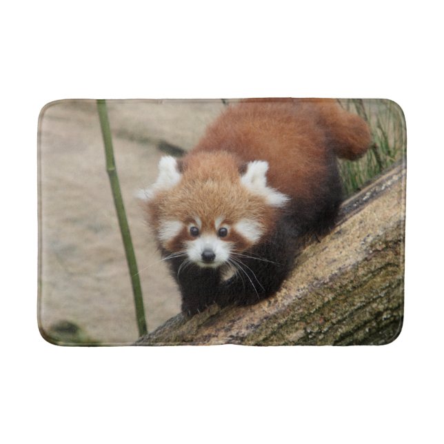 Tapete De Banheiro Bath Mat Photo red panda, animais 0127. (Frente)