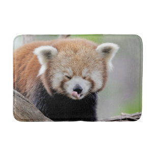 Tapete De Banheiro Bath Mat Photo red panda, animais 0129.