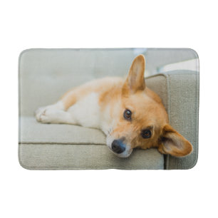 Tapete De Banheiro Bebês Mais Pobres Corgi Puppy no sofá