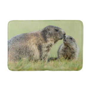 Tapete De Banheiro Bebês Mais Pobres   Família Marmot Alpina