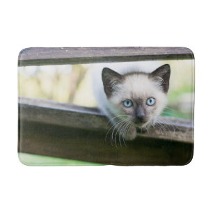 Tapete De Banheiro Bebês Mais Pobres Siamese Kitten 2