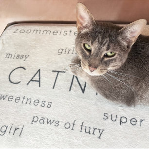 Tapete De Banheiro Beige Flat Soft Cat Bed Mat Pet Name + Apelido