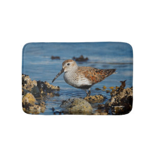 Tapete De Banheiro Belo Dunlin Shorebird na praia