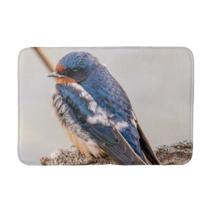 Tapete De Banheiro Blue Bird, Barn Swallow, Fotografia canadense