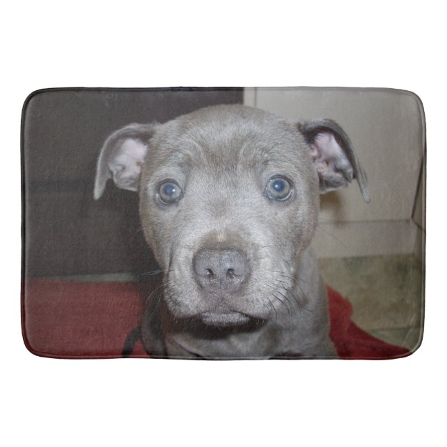 Tapete De Banheiro Blue Staffordshire Bull Terrier Puppy, Banheira (Frente)