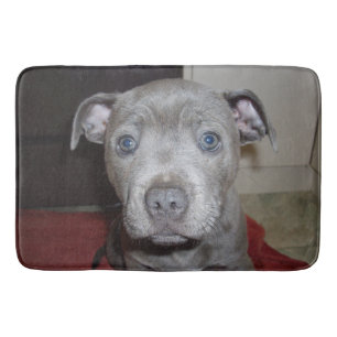 Tapete De Banheiro Blue Staffordshire Bull Terrier Puppy, Bathmat