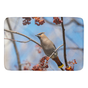 Tapete De Banheiro Boêmian Waxwing, Pássaro com fundo azul