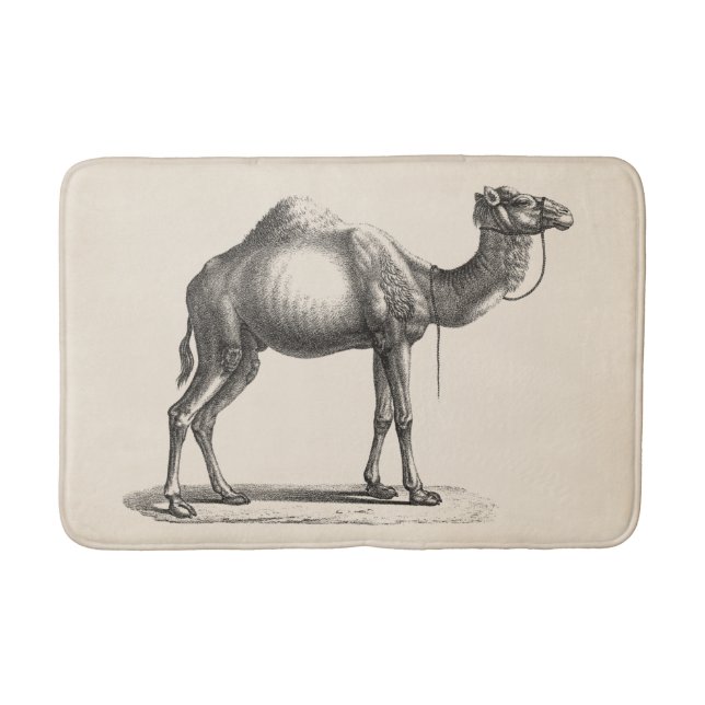 Tapete De Banheiro Brodtmann Dromedary Camel Sketch (Frente)