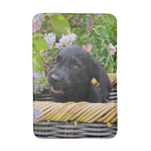 Tapete De Banheiro Cachorro Negro-Bonito Labrador Retriever Foto Pet