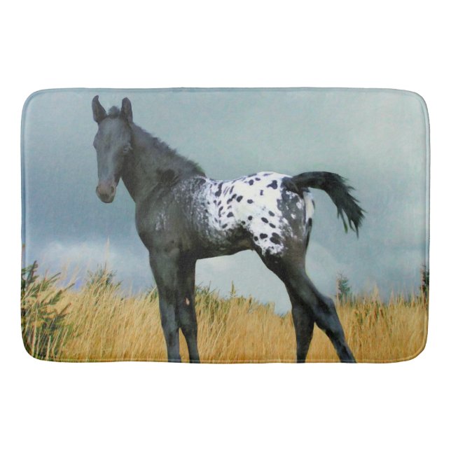 Tapete De Banheiro Cavalo - potro do Appaloosa 24" x 36" grande (Frente)