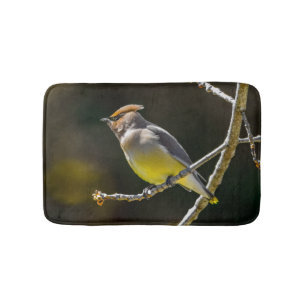 Tapete De Banheiro Cedar Waxwing Songbird Original Foto de Pássaro Se