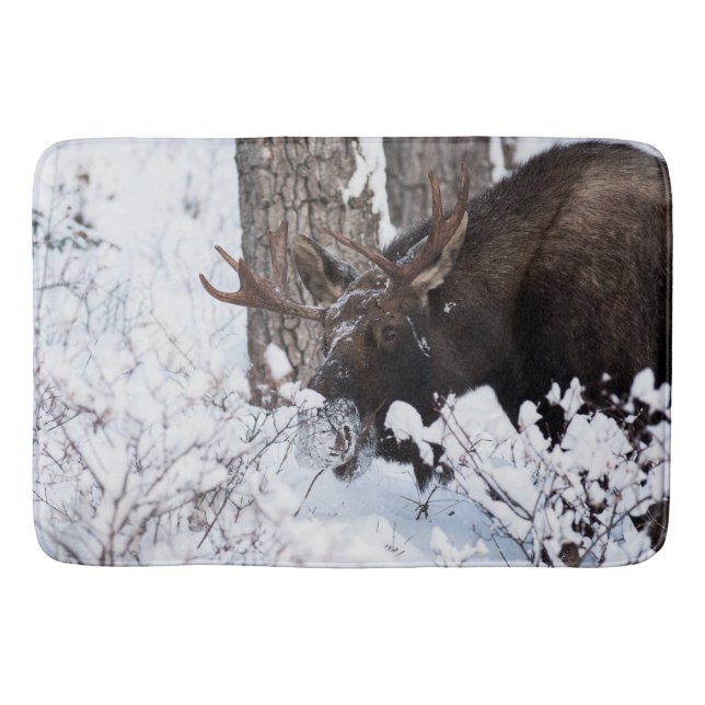 Tapete De Banheiro Chilly Moose (Frente)