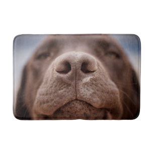 Tapete De Banheiro Chocolate Labrador Nose Closeup