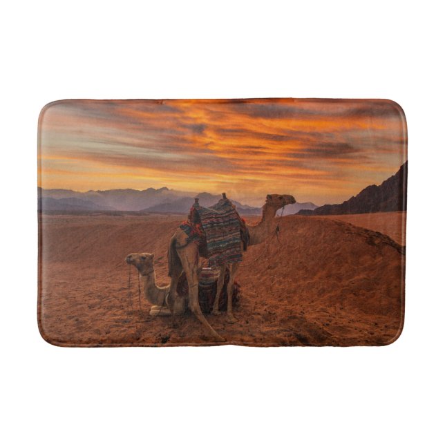 Tapete De Banheiro Desertos | Bactrian Camel Egypt Sand Dune (Frente)