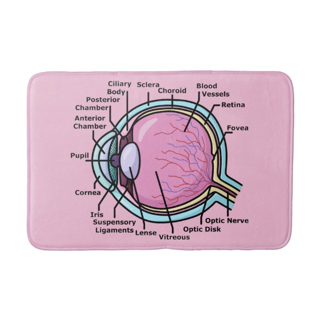 Tapete De Banheiro Diagrama ocular (Frente)