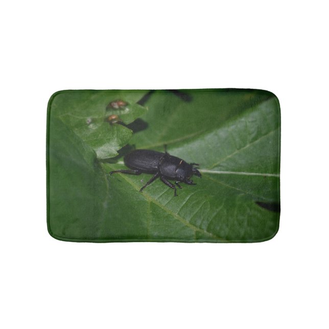 Tapete De Banheiro Dorcus parallelipipedus , o escaravelho inferior (frente)