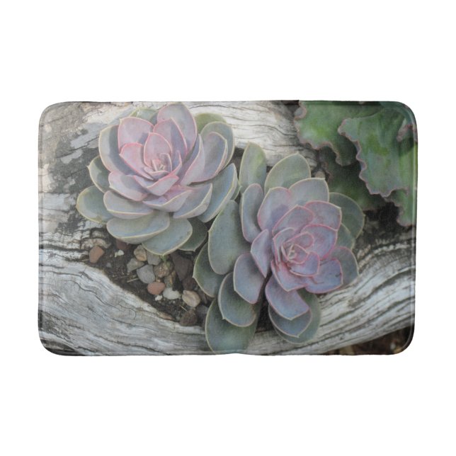 Tapete De Banheiro Echeveria Succulent Bath Mat (Frente)