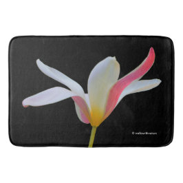 Tapete De Banheiro Elegante Dama Tulipa Flores Brancas Rosadas