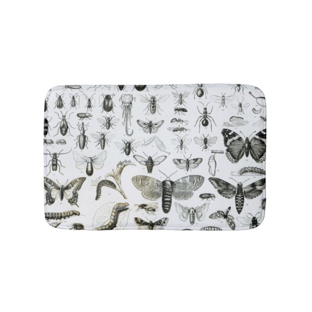Tapete De Banheiro Entomologia (frente)