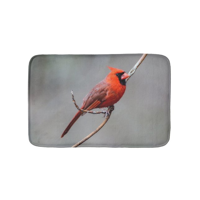 Tapete De Banheiro Esteira de banho cardinal (frente)