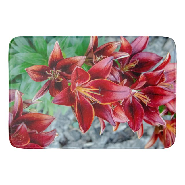 Tapete De Banheiro Floral Red Stargazer Lily Fotografia (Frente)