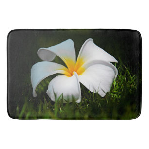 Tapete De Banheiro Flores White Plumeria Frangipani Hawaii