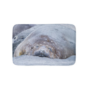 Tapete De Banheiro Foca-elefante que dorme