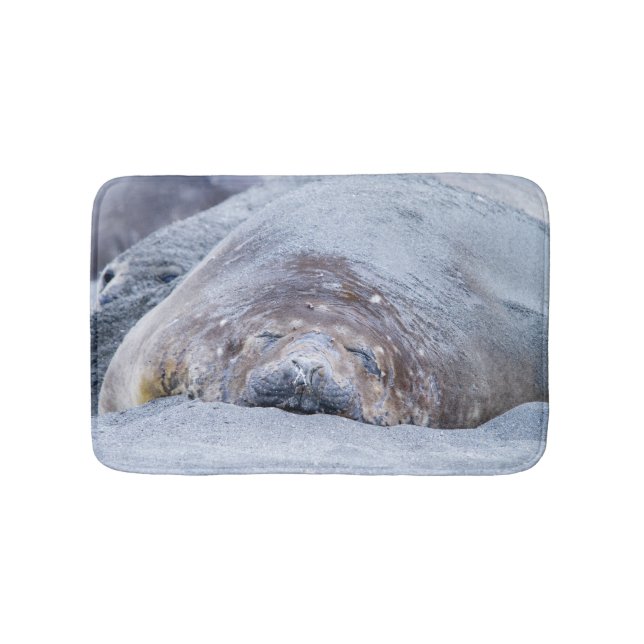 Tapete De Banheiro Foca-elefante que dorme (frente)