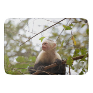 Tapete De Banheiro Fotografia natural, macaco-prego