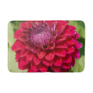 Tapete De Banheiro Fotografia rosa da flor Dahlia, beleza canadense