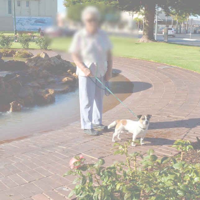 Tapete De Banheiro Fox Terrier Happy Days, Memória Espuma Bathmat (Criador carregado)