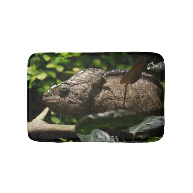 Tapete De Banheiro Furcifer oustaleti (frente)
