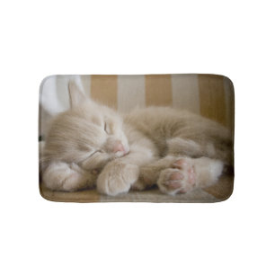 Tapete De Banheiro Gatinho do sono