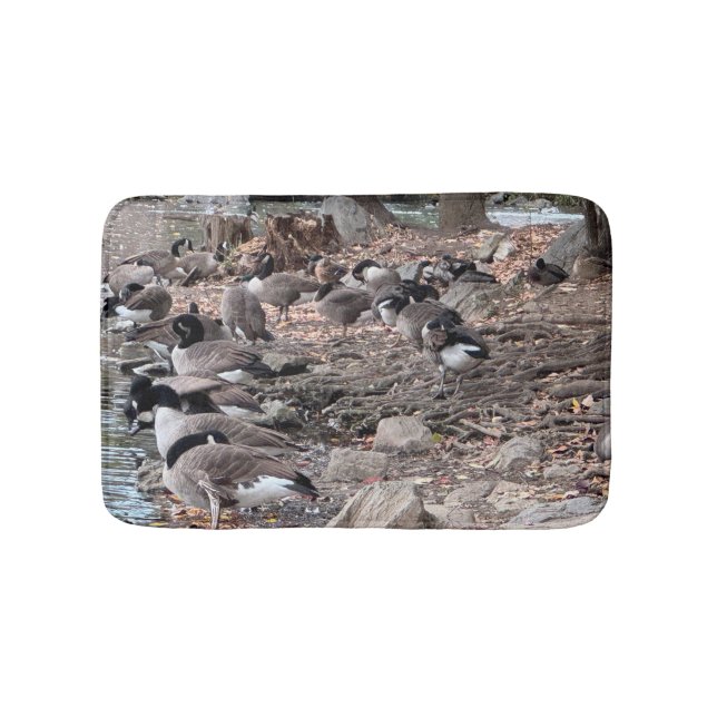 Tapete De Banheiro Geese in the Park Bath Mat (frente)