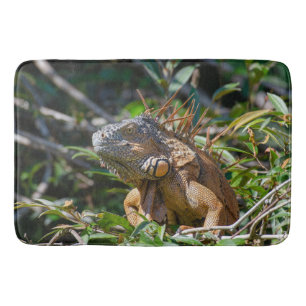 Tapete De Banheiro Iguana exótica, fotografia de Belize
