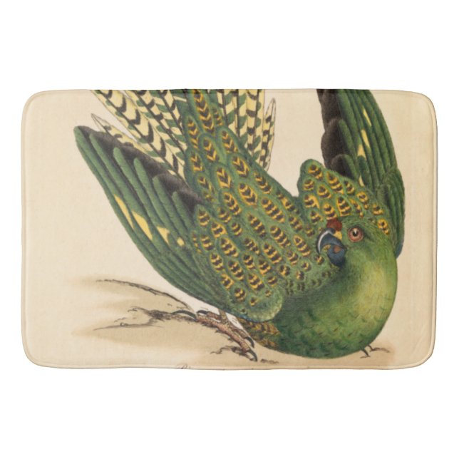 Tapete De Banheiro James Sowerby Ground Parrot, Psittacus terrestris (Frente)