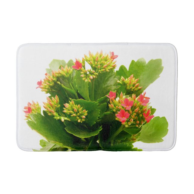 Tapete De Banheiro Kalanchoe blossfeldiana (Frente)
