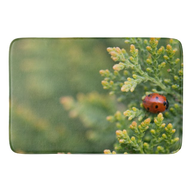Tapete De Banheiro Ladybug (Frente)