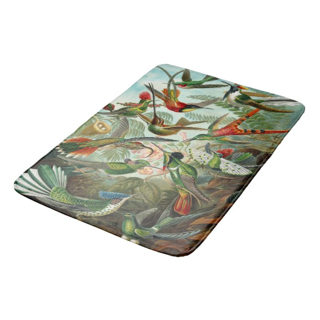 Tapete De Banheiro Lindos Beija-flores de Ernst Haeckel (Angulado)