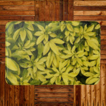 Lírios Asiáticos Amarelos