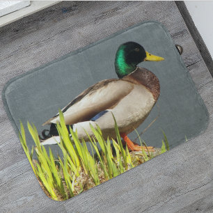 Tapete De Banheiro Mallard Duck Wildlife Photo