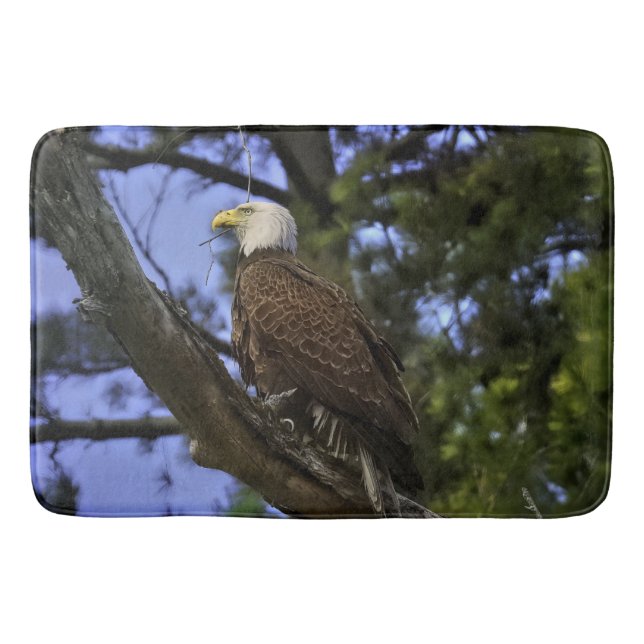 Tapete De Banheiro Mature Bald Eagle (Frente)