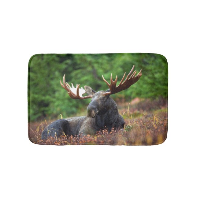 Tapete De Banheiro Moose Bath Mat (frente)