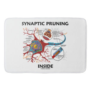 Tapete De Banheiro Neurologia interna de poda Synaptic da sinapse do