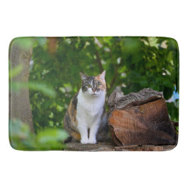 Tapete De Banheiro O Gato