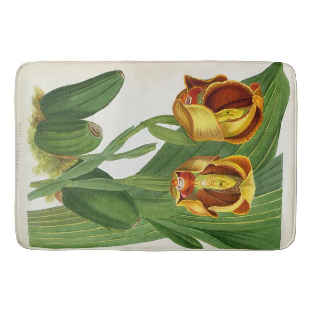 Tapete De Banheiro Orquídea Anguloa Ruckerii Sanguine Lindenia (Frente)